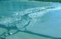 Photo of deer crossing frozen lake.