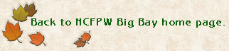 Return to Big Bay Home Page link.