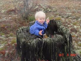 Field Trip - Nathan in stump.