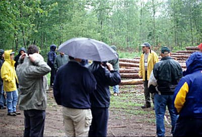 Rainy tour at Turkey Point.