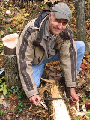 Even forest pathologists (Mike Albers) can be taught to peel logs for EAB.