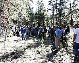 Irene pines explains the results of western gall rust study.