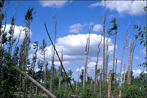 The Calm after the Storm