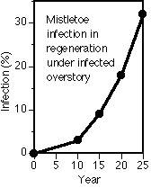 Infection of regeneration from overstory